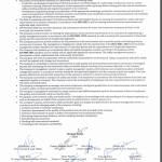 Company_declaration_EN_2020_pdf